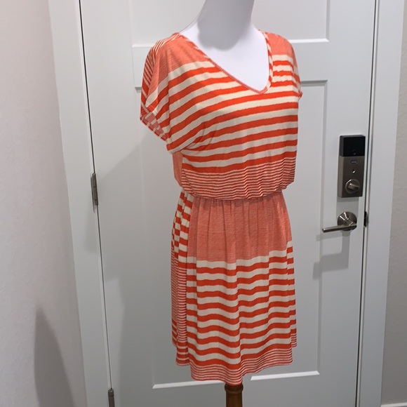 Pink Rose Striped Dress - Picture 5 of 12